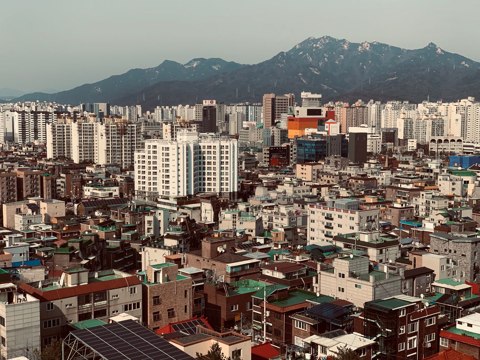 등마사지 1
